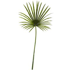 50in. Fan Palm Spray Artificial Plant (Set of 2)
