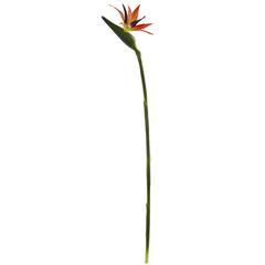 35in. Bird of Paradise Artificial Flower (Set of 4)