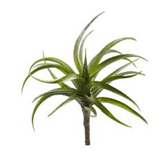 8in. Air Plant Artificial Succulent (Set of 12)