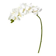 21in. Phalaenopsis Orchid Artificial Flower (Set of 6)
