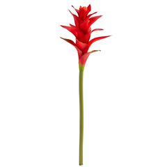 23in. Star Bromeliad Artificial Flower (Set of 6)