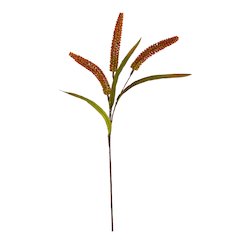 30in. Sorghum Harvest Artificial Flower (Set of 12)
