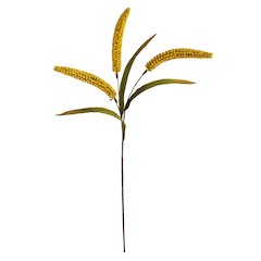 30in. Sorghum Harvest Artificial Flower (Set of 12)