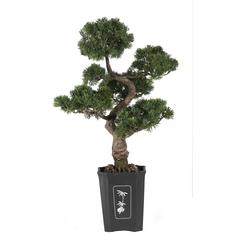 36in. Cedar Bonsai Silk Plant