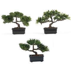 12in. Bonsai Silk Plant Collection (Set of 3)