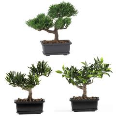 8.5in. Bonsai Silk Plant Collection (Set of 3)