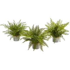 14in. Assorted Ferns with Planter Artificial Plant, Set of 3