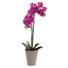 24in. Speckled Phalaenopsis Orchid Artificial Arrangement