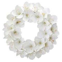 24in. Amaryllis Artificial Wreath