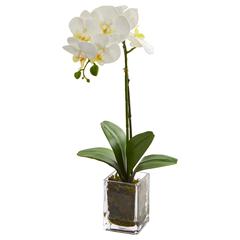 24in. Orchid Phalaenopsis Artificial Arrangement in Vase, Cream