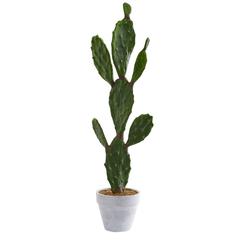 37in. Cactus Artificial Plant