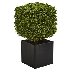 27in. Boxwood Artificial Plant in Black Planter (Indoor/Outdoor)