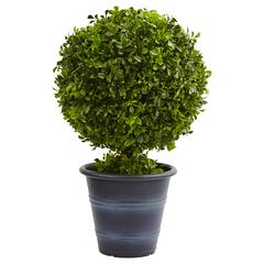 23in. Boxwood Ball Topiary