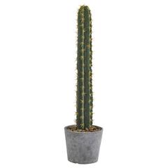 41in. Cactus in Stone Planter Artificial Plant