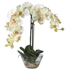 Phalaenopsis with Glass Vase Silk Flower Arrangement