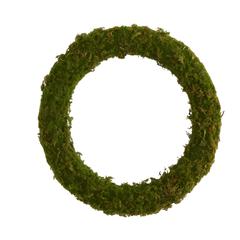 20in. Moss Artificial Wreath