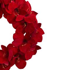22in. Amaryllis Wreath