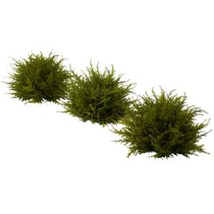 7.5in. Cedar Balls (Set of 3)