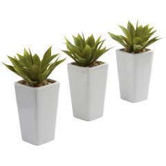 Mini Agave with Planter (Set of 3) White