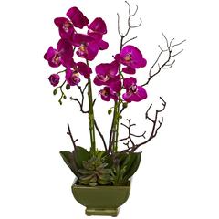 Orchid & Succulent Floral Arrangement