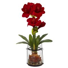 24in. Amaryllis with Vase
