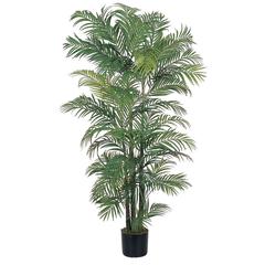 6ft. Areca Silk Palm Tree