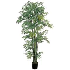 7ft. Areca Silk Palm Tree