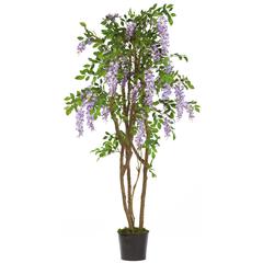 5ft. Wisteria Silk Tree