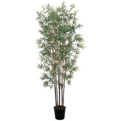 6ft. Mini Bamboo Silk Tree