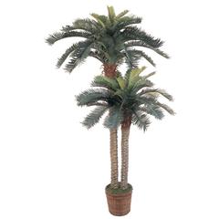 6ft. & 4ft. Sago Palm Double Potted Silk Tree