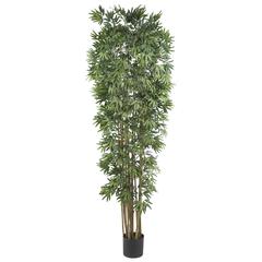 7ft. Bamboo Japonica Silk Tree