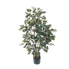 4ft. Ficus Silk Tree Green
