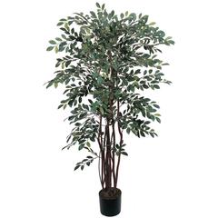 4ft. Ruscus Silk Tree