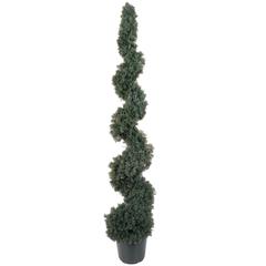 5ft. Cedar Spiral Silk Tree (Indoor/Outdoor)