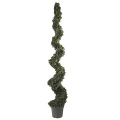 6ft. Cedar Spiral Silk Tree (Indoor/Outdoor)