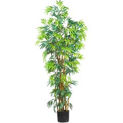 6' Fancy Style Bamboo Tree w/17,00 Lvs
