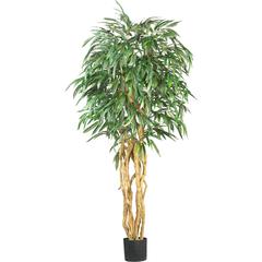 6ft. Weeping Ficus Silk Tree