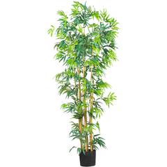 6ft. Bambusa Bamboo Silk Tree
