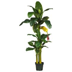 6ft. Triple Stalk Banana Silk Tree