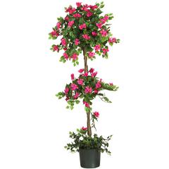 5ft. Mini Bougainvillea Topiary