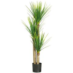 58.5in. Yucca Silk Tree