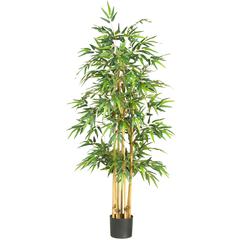 64in. Bamboo Silk Tree