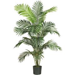 6ft. Paradise Palm