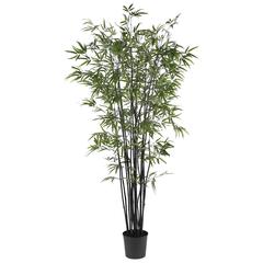 6.5ft. Black Bamboo Silk Tree