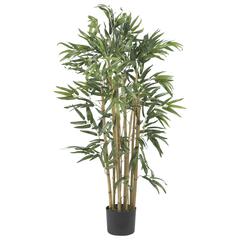 3ft. Multi Bambusa Bamboo Silk Tree