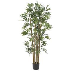 4ft. Multi Bambusa Bamboo Silk Tree