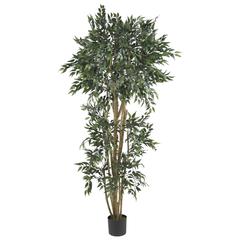 6ft. Green Ash Silk Tree