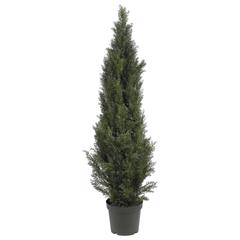 5ft. Mini Cedar Pine Tree (Indoor/Outdoor)