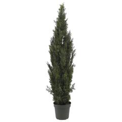 6ft. Mini Cedar Pine Tree (Indoor/Outdoor)