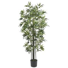 6ft. Bamboo Silk Tree (Green Trunks)